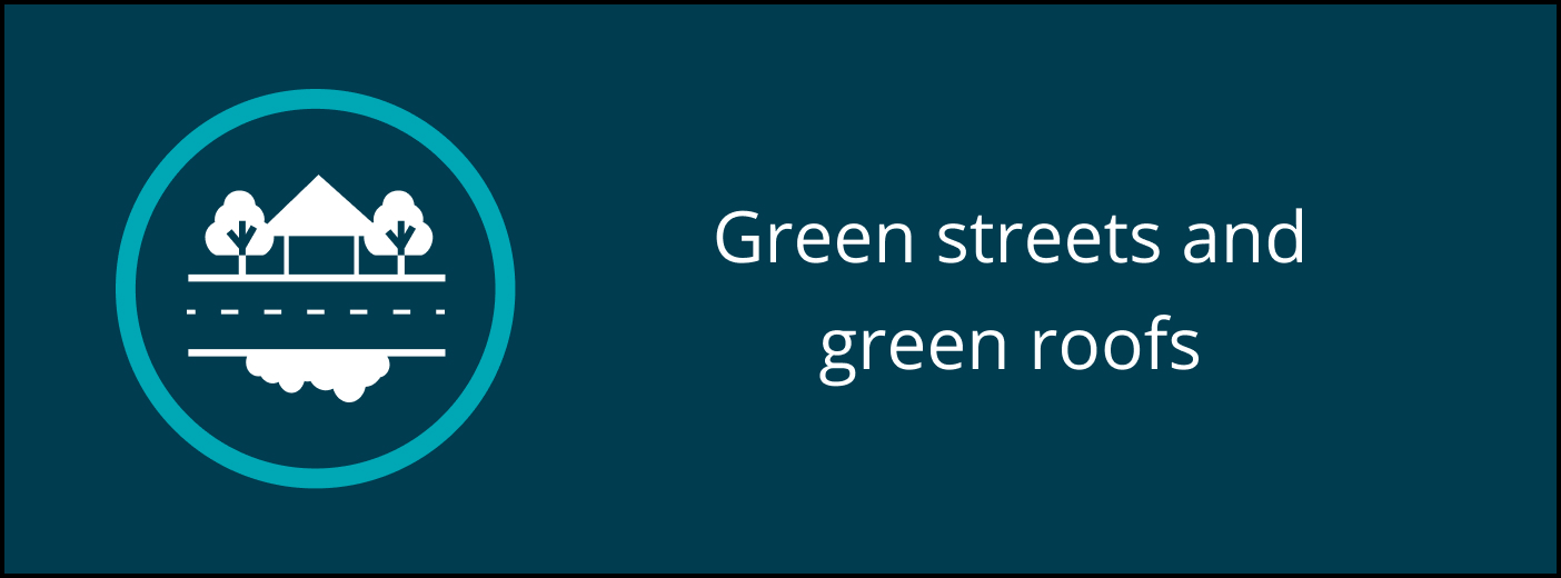 Green streets and green roofs